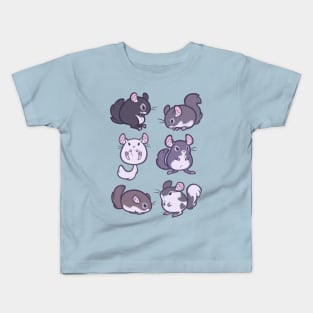 Chinchillas 1 Kids T-Shirt